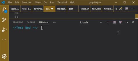 Multiple Terminals in VSCode's Terminal